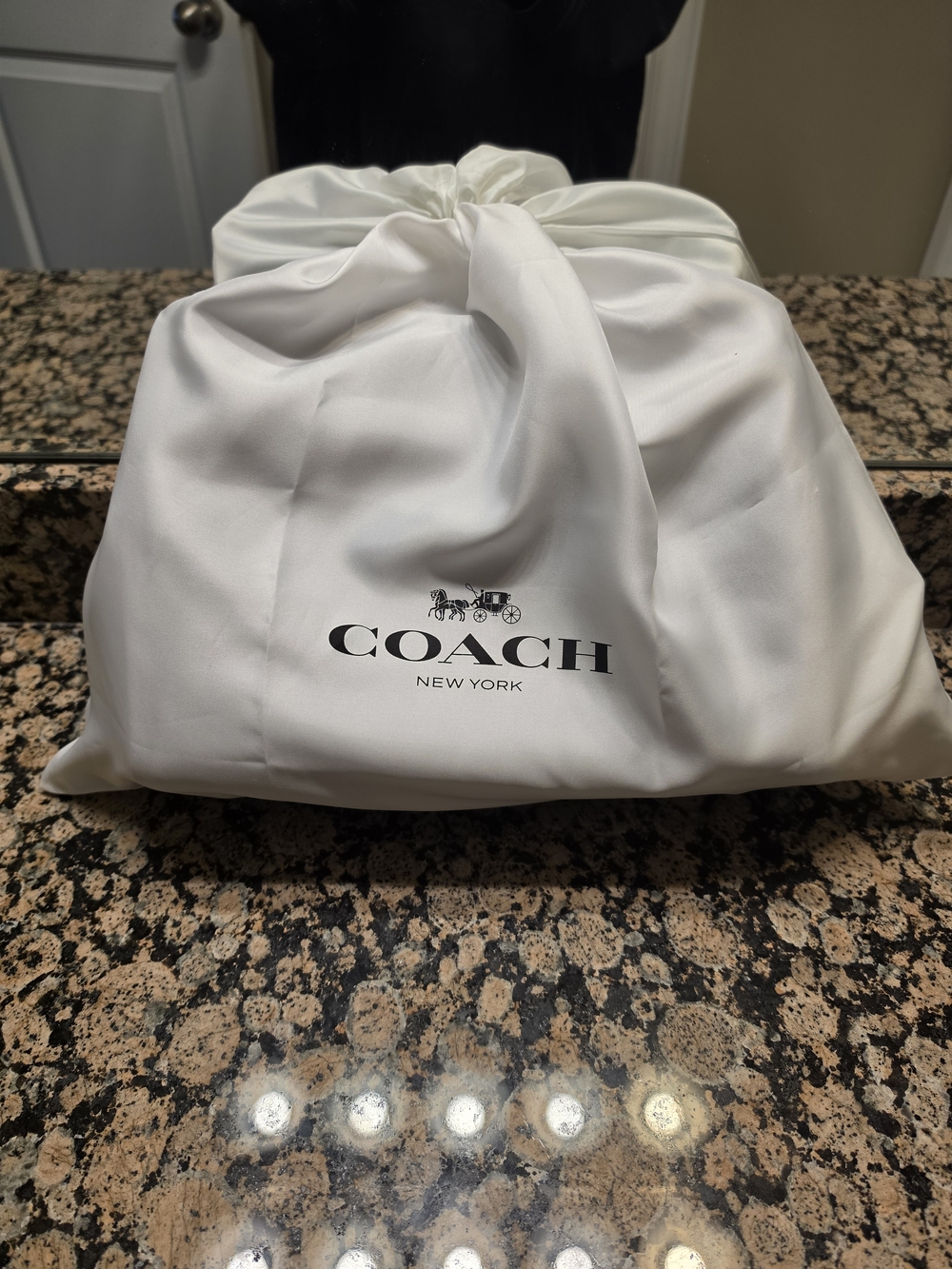 COACH Rogue 31 BLACK